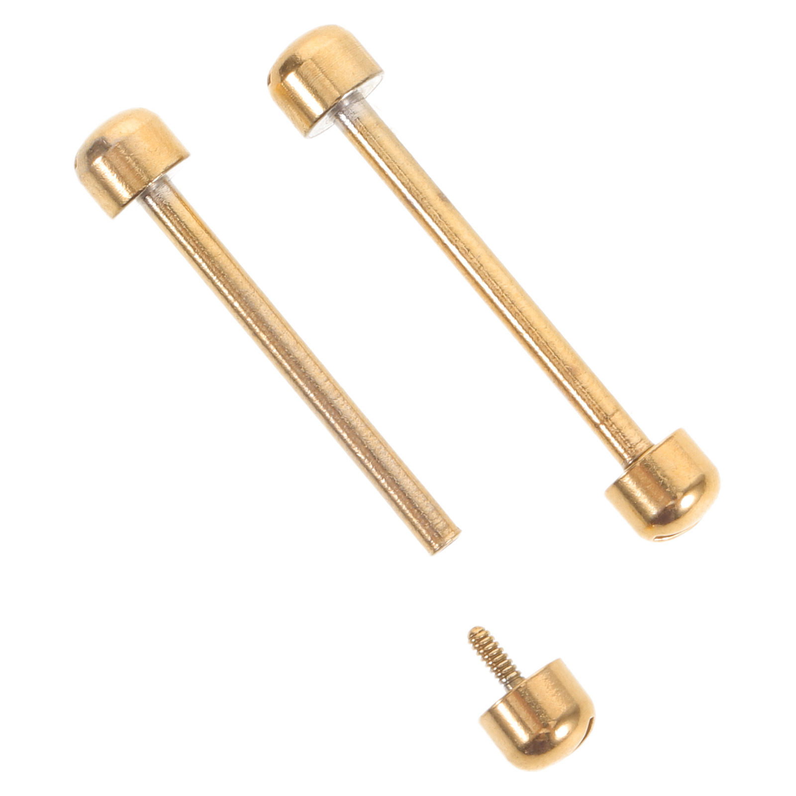 2 Buah Pin Sekrup Tali Jam Tan - Watch Strap Replacement ulasan dan harga